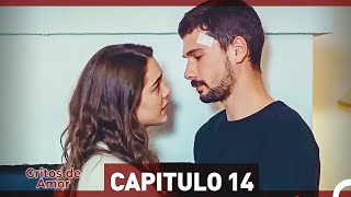 Gritos de Amor Capítulo 14 (HD) (Español Doblado)