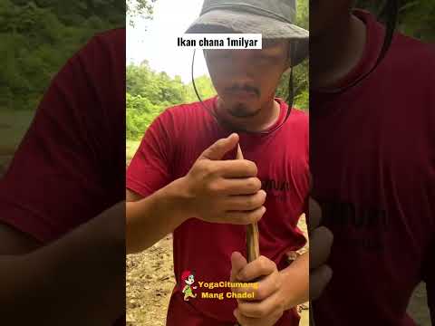 Ikan seharga 1 milyar #viralvideo #viral #kreatif #inspiration #viralshort #food #art #anakrajin