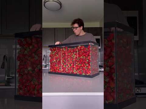 He broke the record of eating strawberries (@wollywhatthe)