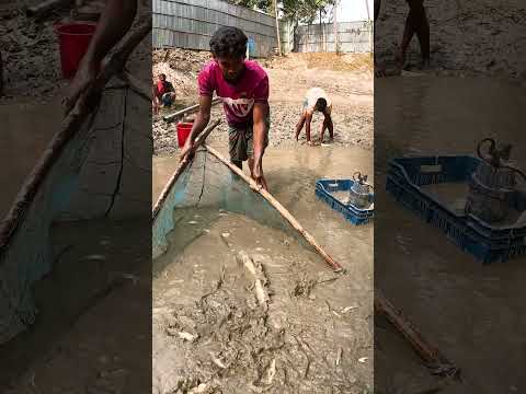 Best Village Fishing Video During Dry Season #fish #fishing #Village #bigfish #catfish