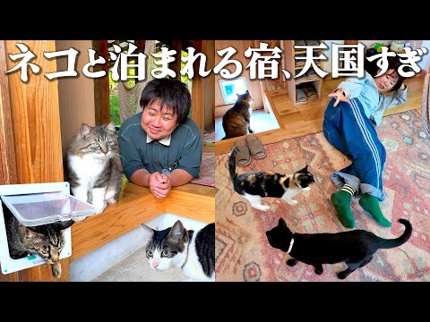 【千葉1泊2日】ネコと泊まれる天国すぎる宿。道の駅に寄り道ドライブする癒やし旅