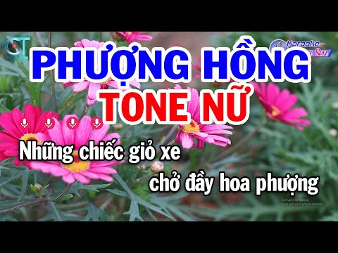 Karaoke Phượng Hồng Tone Nữ ( Em ) Nhạc Sống Mới | Karaoke Đồng Sen