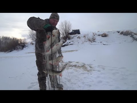 Рыбалка на хапуги. Глухозимье подходит к концу.