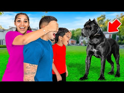 New Puppy Surprise! *OUR DREAM DOG*