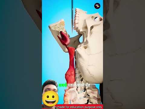 जादुगर कैसे तलबार अन्दर कर्ता है #facts #army #viralshorts
