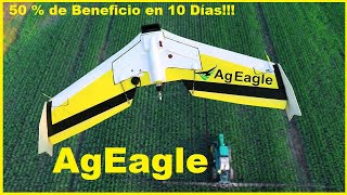 AGEAGLE 50 % de beneficios en 10 días!!