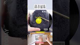 回月留瓜 #小说 #完结文