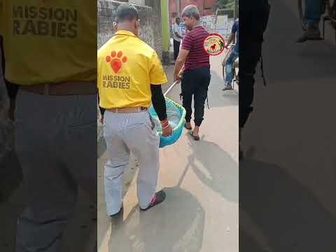 Naihati dog catching nasal tumer treatment admission for treatment  🙏🐶❤️
