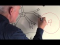 Hemolytic Transfusion Reactions Overview