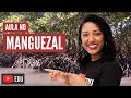 Importância e Características dos Manguezais