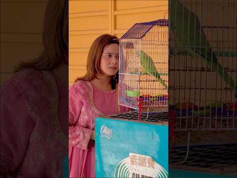 Smart Totta v/s chalak malik ( part 2) #summerofshorts #ytshorts #funny #comedy