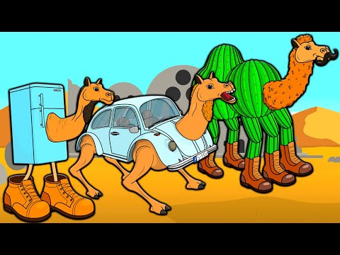 ALL SERIES OF BRAINROT CAMELS! TOB TOBI TOB TOB TRACOTUCOTULU DELAPELADUSTUZ FRIGO CAMELO Animation