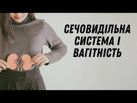 Сечовидільна система і вагітність #doctorberezovska #olenaberezovska #вагітність