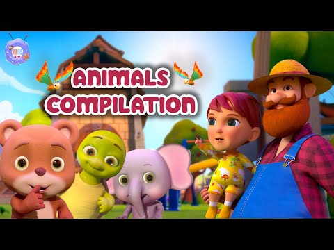 Learn Animals - Non Stop Fun | BBTV Nursery Rhymes & Kids Songs #learning #rhymes #animals #abcd