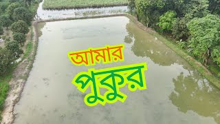 Amazing Drone View of My Pond