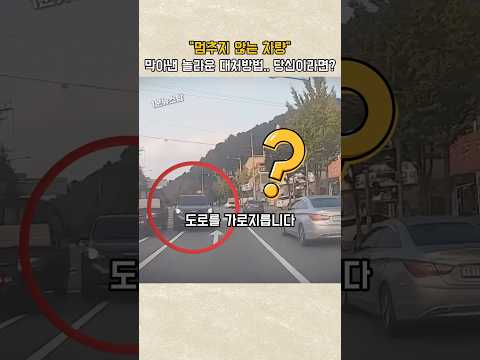뭔가 이상한 운전자... 생명을 걸고 역주행차를 멈춰 세운 놀라운 이유