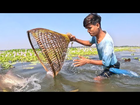 Polo Best|OMG! Traditional Boy Big Fish Hunting By Polo|#boyfishingvideo #bigfish