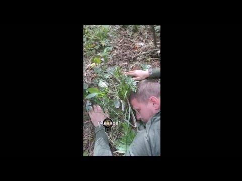 АЛЕКСАНДР СЛАДКОВ | Диверсанты в Брянске.