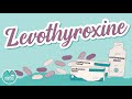 Levothyroxine Usage and Effects