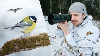 Backyard Bird Photography | One Hour Challenge (APS-C)