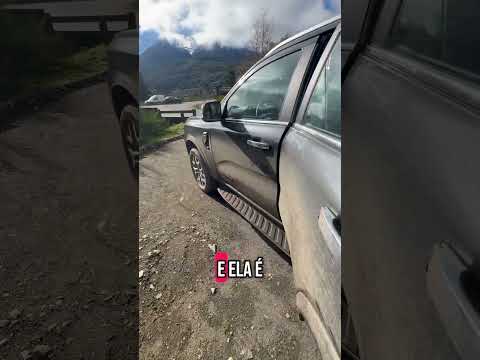 VOCÊ COMPRARIA O FORD EVEREST COM MOTOR 2.3 gasolina de 300cv e tração 4x4? Alô, Toyota SW4…
