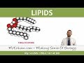 Lipids and Their Functions