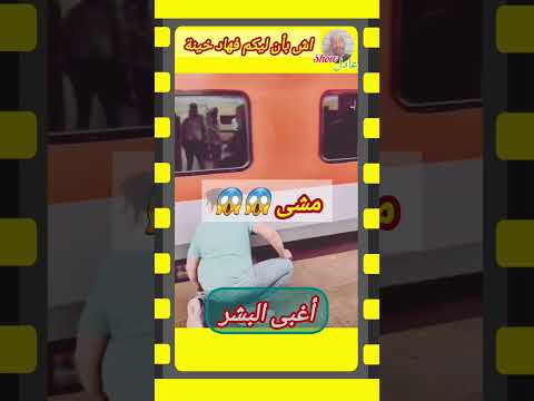 #عالم_الحيوانات #زلزال_الحوز #المغرب_اليوم #الواقع_المغربي #عادلshow