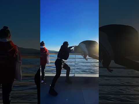 Insane Bike Jump Over a Cliff 🚴‍♀️⛰️🤯 #moments #respect #impossible #shorts