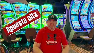 Jugando Con Apuestas Mas Alta En Bufalo Link Del Casino