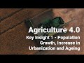 Population Dynamics and Aging Challenges