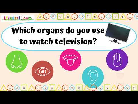 Educational Quiz Videos for kids IQ - Learn the Sense Organs #kidslearningvideos #kidslearningvideo