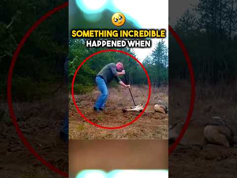 Incredible Moment when Man Rescued WOLF!???