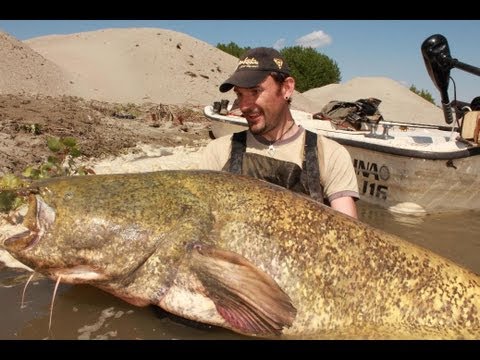 Tutorial: how to fish catfish in spinning - hd by catfishing world