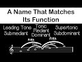 Understanding Scale Degrees