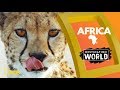 Exploring Africa: Geography, Wildlife, and Culture
