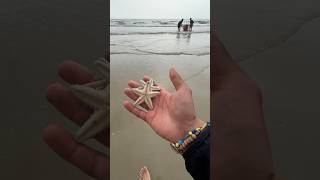 Rescue mission: saved pufferfish and starfish life 🥹