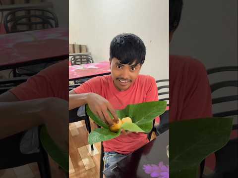 সারাদিন শুধু কচুর পাতাতেই খাবার খেয়ে কাটালাম 🌱 #minivlog#mini