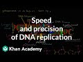 DNA Replication Processes and Accuracy