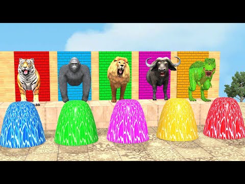 Long Slide Game With Cow Elephant Gorilla Hippopotamus Tiger 3d Animal Game Funny 3d Animals