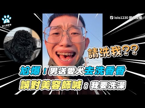 【尬爆！男送愛犬去洗香香 誤對美容師喊：我要洗澡】｜TikTok / ioio1230 / yoyomam_730　IG / luxc.__