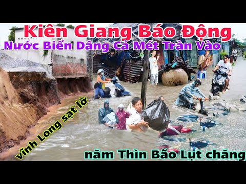 Kiên Giang Báo Động Gấp bất ngờ nước biển dâng cao cả mét tràn vào vĩnh Long sạt lở nhà cầu cứu gấp