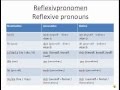 Exploring Reflexive Pronouns in German