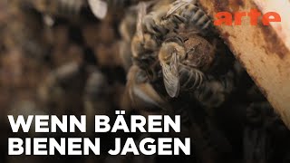 Slowenien, Land des Honigs | GEO Reportage Reupload | ARTE Fernweh