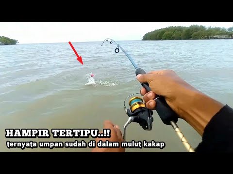 Hampir tert!pu..!! Dikira nyangkut rumpon ternyata umpan sudah di dalam mulut Kakap