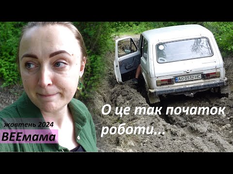 Як я стала керівником проєкту в Карпатах / о це ми вляпались! / гора Рожок / знову Київ?