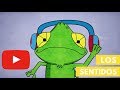 Cuestionario sobre los Sentidos y Animales