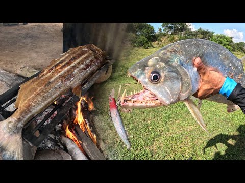 Amigos de la Pesca capitulo 8:  Como pescar y cocinar payaras en ríos de agua cristalina.