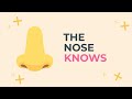 Memory and Smell Connections