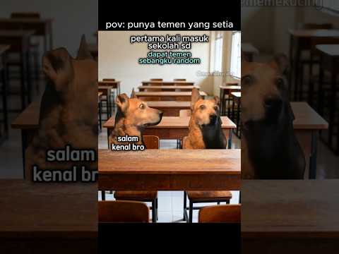 temen sehidup semati nih ๐น #meme #memes #kucing #memekucing #lucu