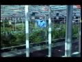 Understanding Pesticide Labels